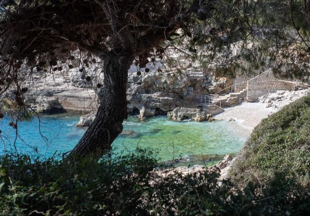 Apartment Antonella Fasana فاجانا المظهر الخارجي الصورة
